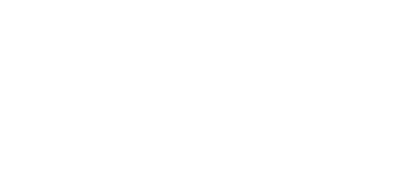 property investors network Logo